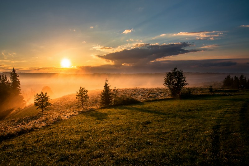 Morning light over open countryside